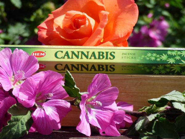 Encens cannabis - 20 grammes