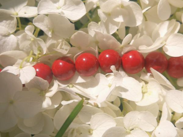 Fil de perles Jaspe rouge 8 mm